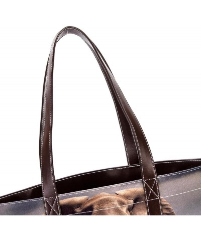 Purses for Women,Tote Bag for Women,Handbags for Women H611h2bswq $25.74 Totes