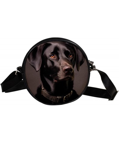 Crossbody Bags for Women,Crossbody Bag Men,Small Sling Bag,Black Dog Outdoors,Crossbody Purse $9.00 Crossbody Bags