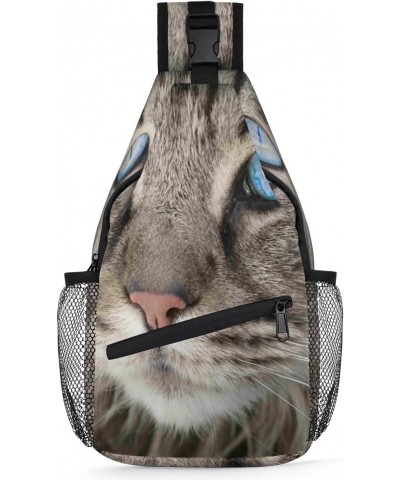 Tabby Face Whiskers Sling Bag for Women Crossbody Backpack Purse Shoulder Casual Daypack Cross Body Bags for Travel Cycling H...